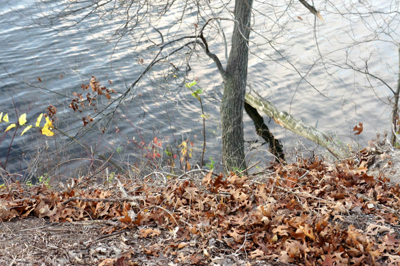 Beauvoir in love - La maison du lac et le lac, le théâtre de la fin des amours - Photo 31